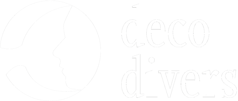 Deco Divers